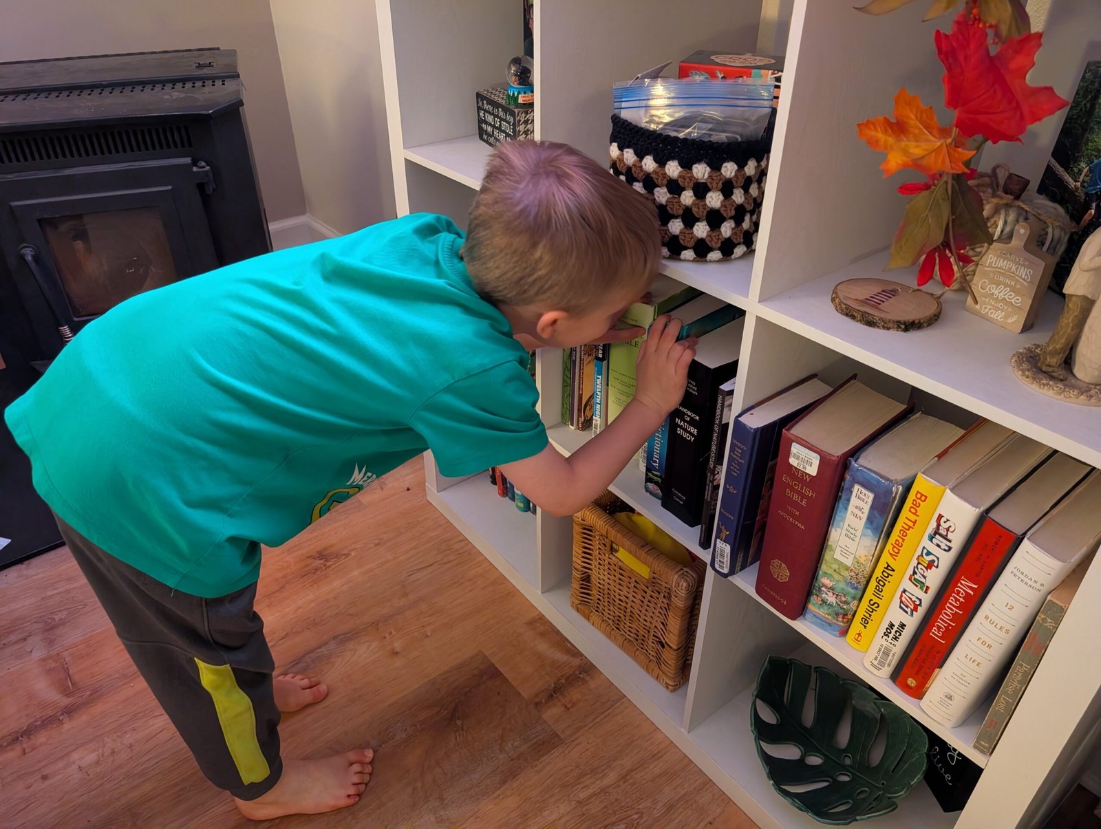 Our New Series on Faith-Friendly Streaming Picks for Busy Families Our youngest son thoughtfully browsing books on the family bookshelf, embodying the research phase of our streaming series.